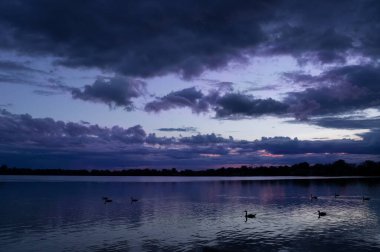 Gölün üzerinde kara, tehditkar bulutlarla muhteşem günbatımı gökyüzü bulutları yansıtıyor ve göl boyunca süzülen ördekler yüzeyi dalgalandırıyor..