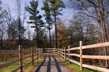 Kleinburg, Ontario, Kanada yakınlarındaki Humber Valley Heritage Trail yolunda güneşli bir sonbahar günü manzarası