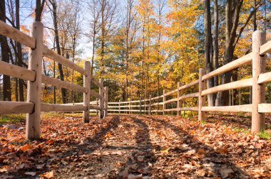 Kleinburg, Ontario, Kanada yakınlarındaki Humber Valley Heritage Trail yolunda güneşli bir sonbahar günü manzarası