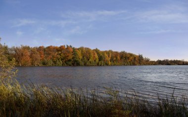 Beautiful autumn landscape view with Seneca lake surface reflecting blue sky and yellow orange red trees across the lake. King city, Ontario, Canada
