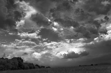 Sonbahar akşamının siyah ve beyaz görüntüsü dramatik bulutlu günbatımı gökyüzü tarlanın üzerinde ekinlerle birlikte.