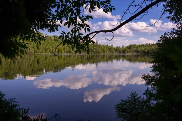 Prachtige zomer landschap met een meer oppervlak reflecterende blauwe lucht witte wolken en groene bos bomen over het meer gezien in een frame van donkere takken in de schaduw — Stockfoto