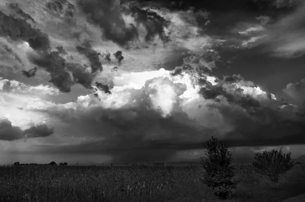 Черно-белый образ осеннего вечернего пейзажа с ярким облачным небом заката над полем с зерновыми культурами — стоковое фото