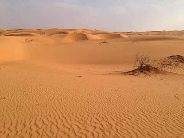 サウジアラビアの砂漠の砂丘 ストックフォト