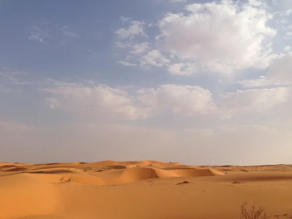 サウジアラビアの砂漠の砂丘 ロイヤリティフリーのストック画像