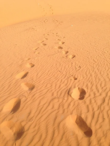사우디 아라비아에서 사막의 모래 언덕 스톡 사진