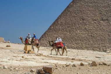 deve etrafında pyramids, cairo, Mısır