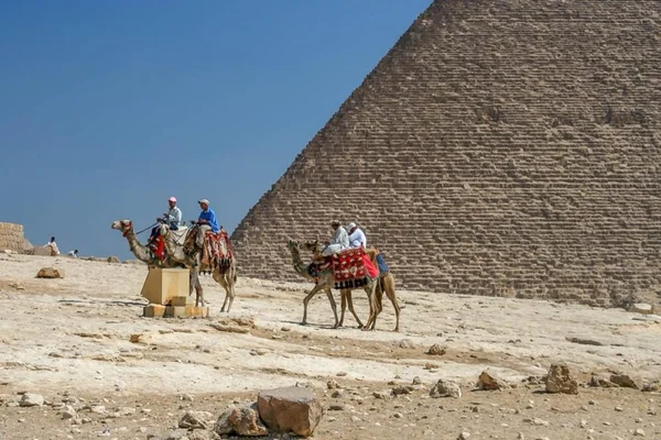 Kamelen rond pyramids, cairo, Egypte — Stockfoto