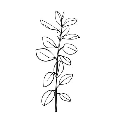 Beyaz arka planda yapraklar ve tropikal palmiye yaprakları izole edilmiştir. vektör tasarımı.