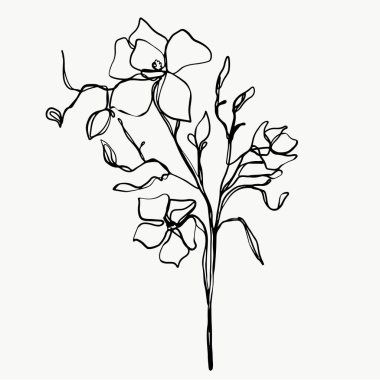 Çiçek hattı sanatı. Soyut modern ya da minimal. Poster gibi ev dekorasyonu için mükemmel. vektör tasarımı.