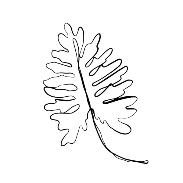 Foglie Palma Tropicale Monstera Belle Piante Esotiche Disegnate Mano Sfondo — Vettoriale Stock