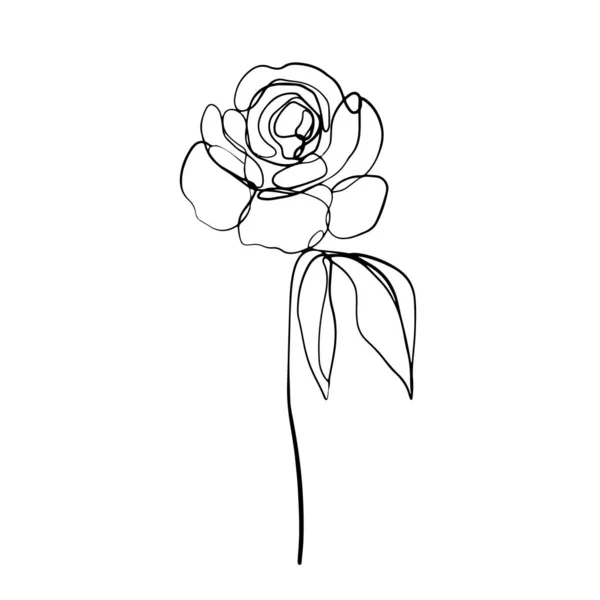 Moderne Kunst Linie Rosen Von Isolierten Rosenblüten Auf Weißem Hintergrund — Stockvektor