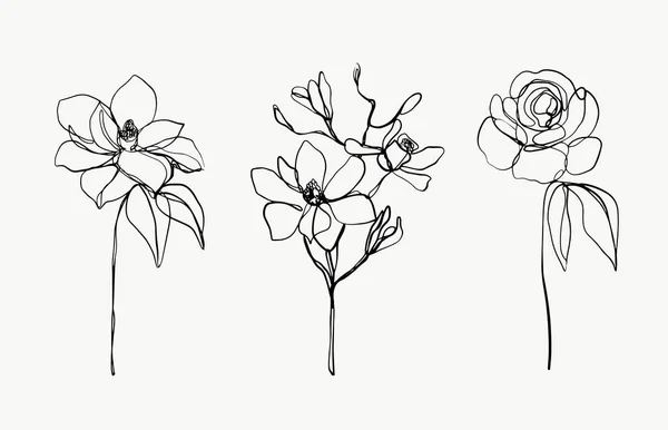 Květiny Botanická Linie Opouští Umění Krásné Ručně Kreslené Exotické Rostliny — Stockový vektor