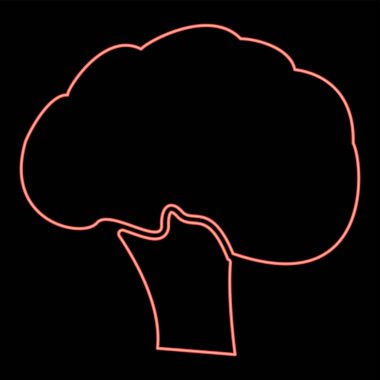 Neon brokoli kırmızı renk vektör illüstrasyonuName