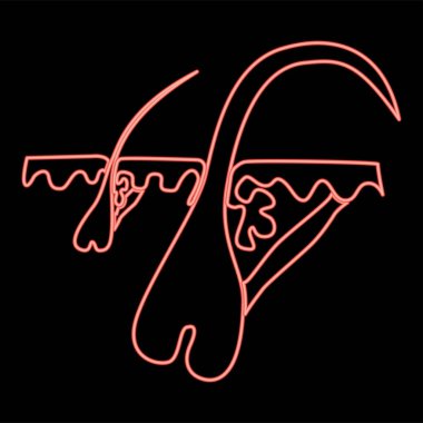 Makro kırmızı renk vektör illüstrasyonunda kıllı neon ten düz stil ışık görüntüsü