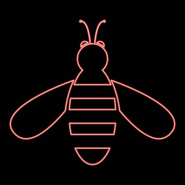 Neon arısı kırmızı renk vektör illüstrasyonuName