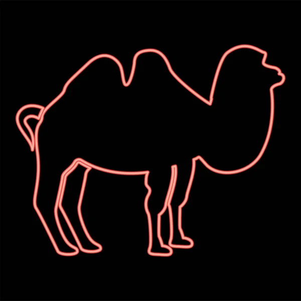 Неоновый Верблюд Красный Цвет Вектор Иллюстрация Плоский Стиль Светлое Изображение — стоковый вектор