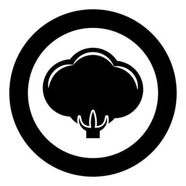 Dairesel siyah renk gösterimi resim düz dış hat biçimi içinde pamuk simgesi