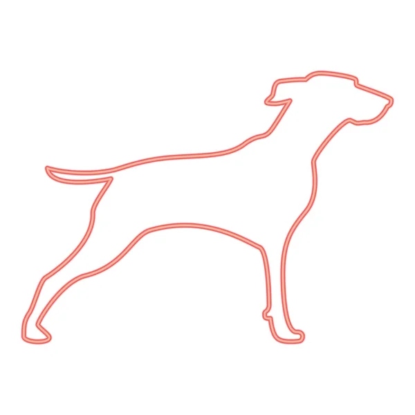 Neon Hunter Dog Gundog Red Color Vector Illustration Image Flat — Stock Vector