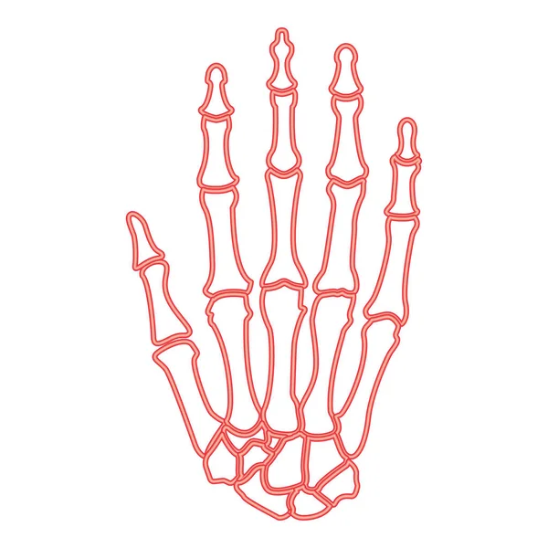 Neon Hand Bone Red Color Vector Illustration Image Flat Style — 스톡 벡터