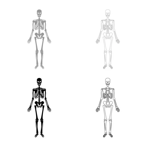 Esqueleto Humano Conjunto Ícone Cinza Cor Preta Vetor Ilustração Imagem — Vetor de Stock