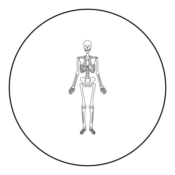 Esqueleto Ícone Humano Círculo Redondo Cor Preta Vetor Ilustração Imagem — Vetor de Stock