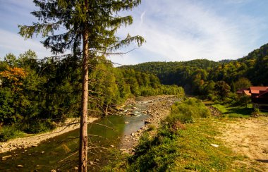 Güneşli bir yaz gününde, dağlardaki kayalıkların üzerinden sarp bir nehir akar. Manzara fotoğrafı iyi bir hava yaratıyor..