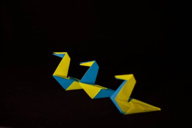 Kompozisyon, sarı ve mavi tonları olan renkli kağıttan yapılmış üç güvercinden oluşuyordu. Ukrayna bayrağının renkleri.