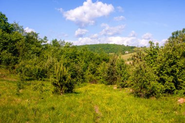 Dağ Karpatya manzarası ve bulutlu yaz sabahı gökyüzü. Ormanların ve uzak köylerin güzel manzarası. Çeşitli aletlerin duvar kağıtları için güzel bir fotoğraf.