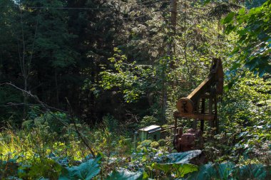 Güneşli bir yaz gününde, yeşil sık bir ormanda eski bir petrol kuyusu. Sanayi siteleri veya dergiler için yaratıcı fotoğraf.