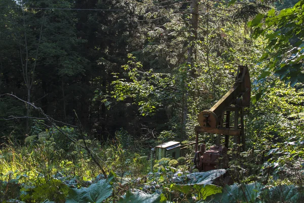 Güneşli bir yaz gününde, yeşil sık bir ormanda eski bir petrol kuyusu. Sanayi siteleri veya dergiler için yaratıcı fotoğraf.