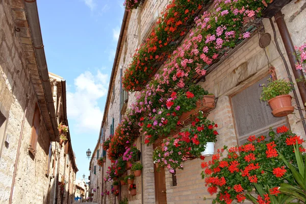 Callejón italiano en verano — Foto de Stock