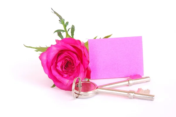 Klucze, pusta notatka i rose różowy — Zdjęcie stockowe