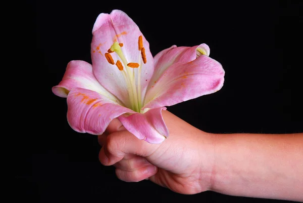 Barn som ger en blomma — Stockfoto