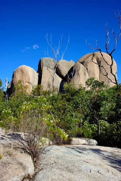 빌라 자연 보유, 호주 — 스톡 사진