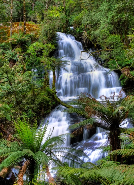Triola falls, otway národní park, Austrálie Stock Fotografie