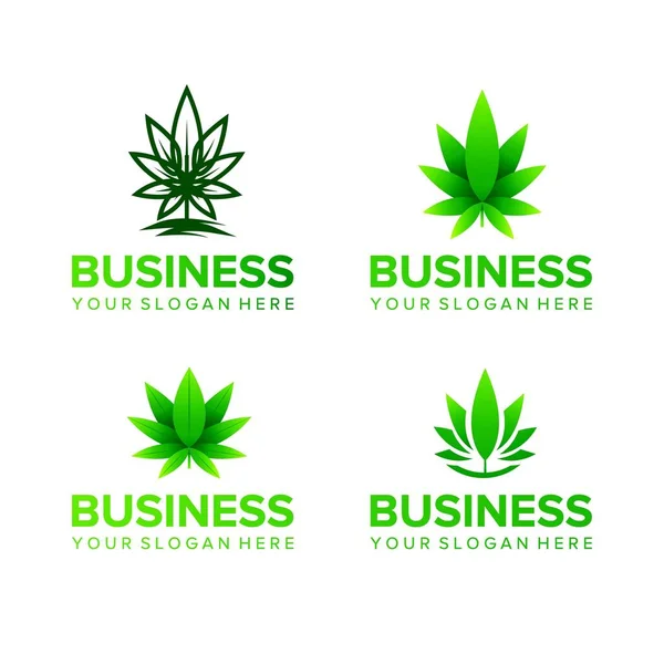 Satz Von Marihuana Geschäft Gesundheit Und Medizinisches Logo Design Vektor — Stockvektor