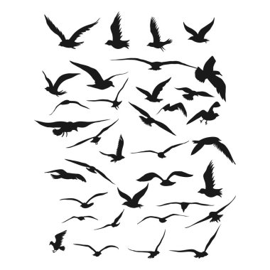 set of bird silhoutte wallet business logo design vector