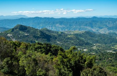 Doi Chang köyündeki manzara manzarası, Tayland 'ın Chiang Rai bölgesindeki en iyi kahveyi üretiyorlar..
