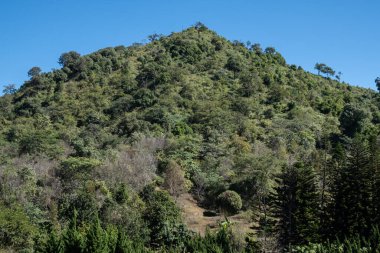 Tayland 'ın Chiang Rai eyaletindeki Doi Chang dağının en yüksek zirvesi (yaklaşık 1680 metre) kahve üretimiyle ünlü dağlardır..