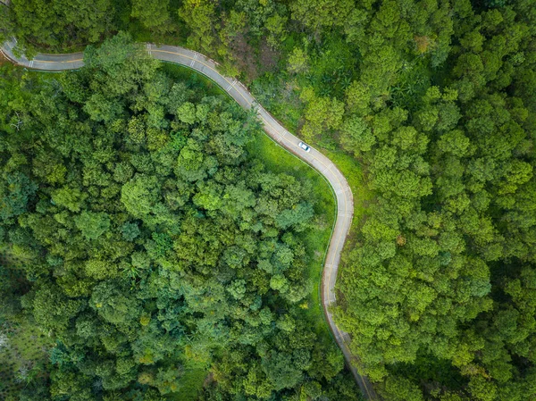 Aerial View Car Road Cut Throug Green Forest Highland Mountains — Stock Photo, Image