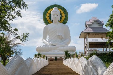 Beyaz Buda, Tayland 'ın Chiang Rai eyaletinin kuzeyindeki Chiang Saen bölgesinin Wiang Kaew köyünde yer almaktadır..