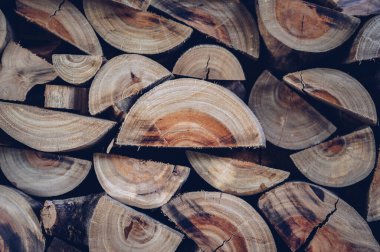 Yakacak odun toplama, pişirme, ısıtma ve elektrik üretimi gibi amaçlar için yakıt olarak kullanılmaya hazırlanıyor. Yakacak odun, toplanan ve yakıt olarak kullanılan herhangi bir ahşap maddedir..