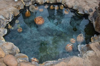 Haşlanmış yumurta sepeti, Tayland 'ın Lampang bölgesindeki Chae Son Ulusal Parkı' nı ziyaret ederken popüler turistik etkinliklerden biri olan sıcak baharda ıslanır (yumurta sarısı ve jöle yumurtası)..
