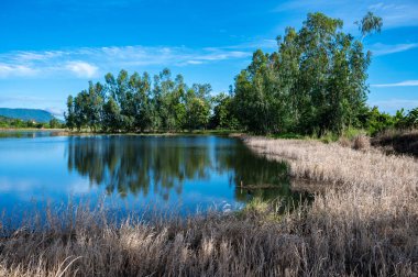 Tayland 'ın Chiang Rai şehrindeki doğal göletin huzur manzarası..