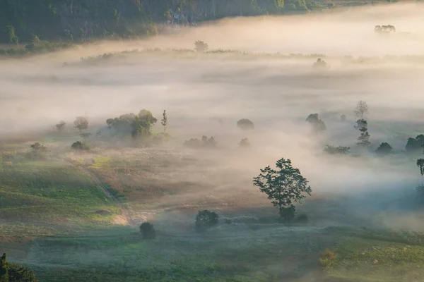 Mar Niebla Cubrió Prado Parque Forestal Phu Lung Durante Amanecer —  Fotos de Stock