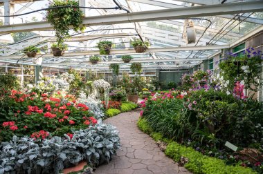 Ornamental garden planting in greenhouse in botanical garden in Chiang Mai province of Thailand. Greenhouse designed for the protection of plants against excessive cold or heat.