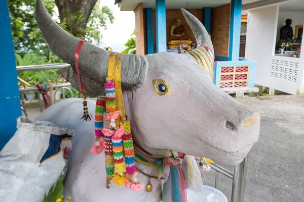 Sculpture Holy White Buffalo Local Fairy Tales Located Wat Phra — Foto Stock