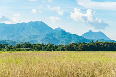 Scenery view of Doi Nang Non (