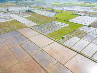 Aerial view of the terraces rice field before cultivation season in Chiang Rai the Northern province of Thailand.
